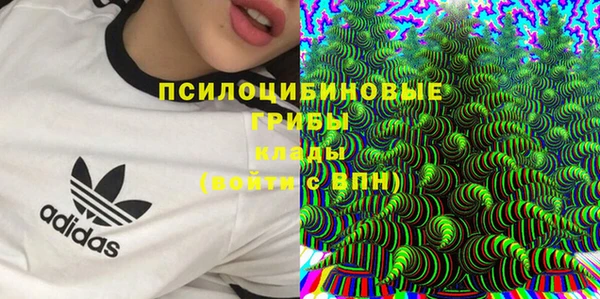 PSILOCYBIN Балабаново