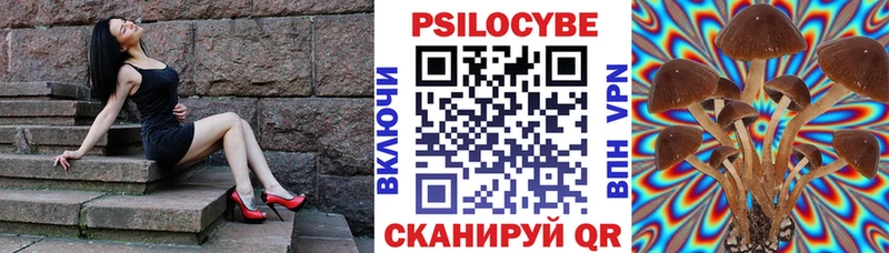 блэк спрут ТОР  Макаров  Псилоцибиновые грибы мицелий 